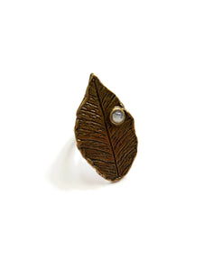 WYLD Leaf Ring (Brass)